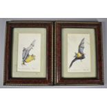 A Pair of Small Framed Watercolours Depicting Bats, Each 13cm high