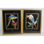 A Pair of of Iridescent Parrot Pictures, Blue and Yellow and Red and Yellow Macaw, Hand Engraved