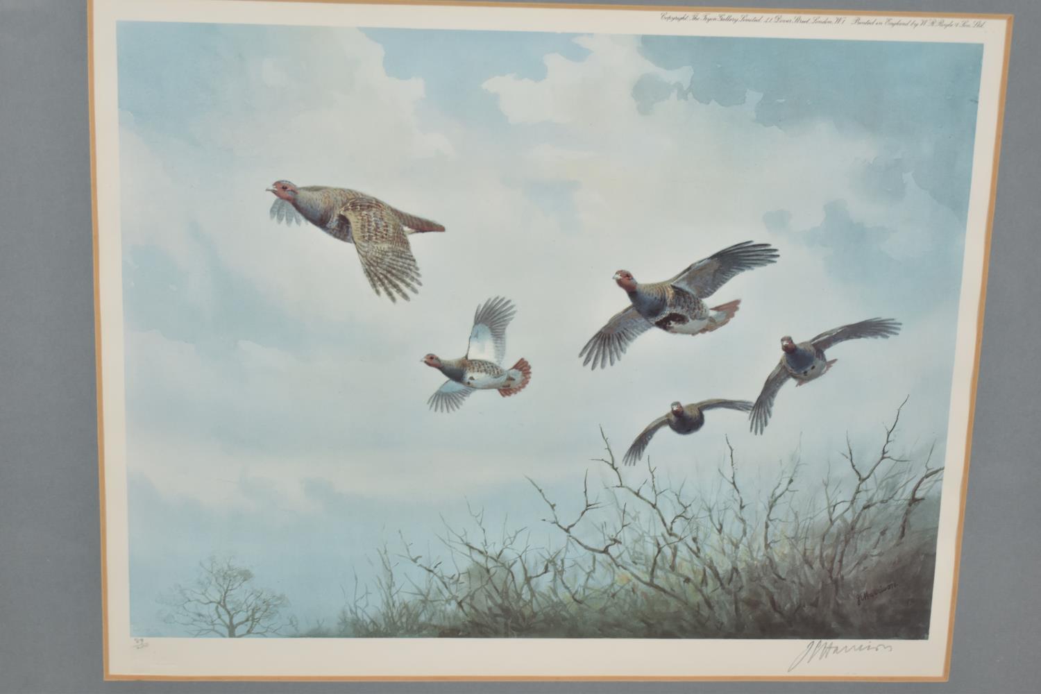 A Pair of Framed J Harrison Limited Edition Prints of Grouse in Flight, Both Signed by the Artist - Image 3 of 3