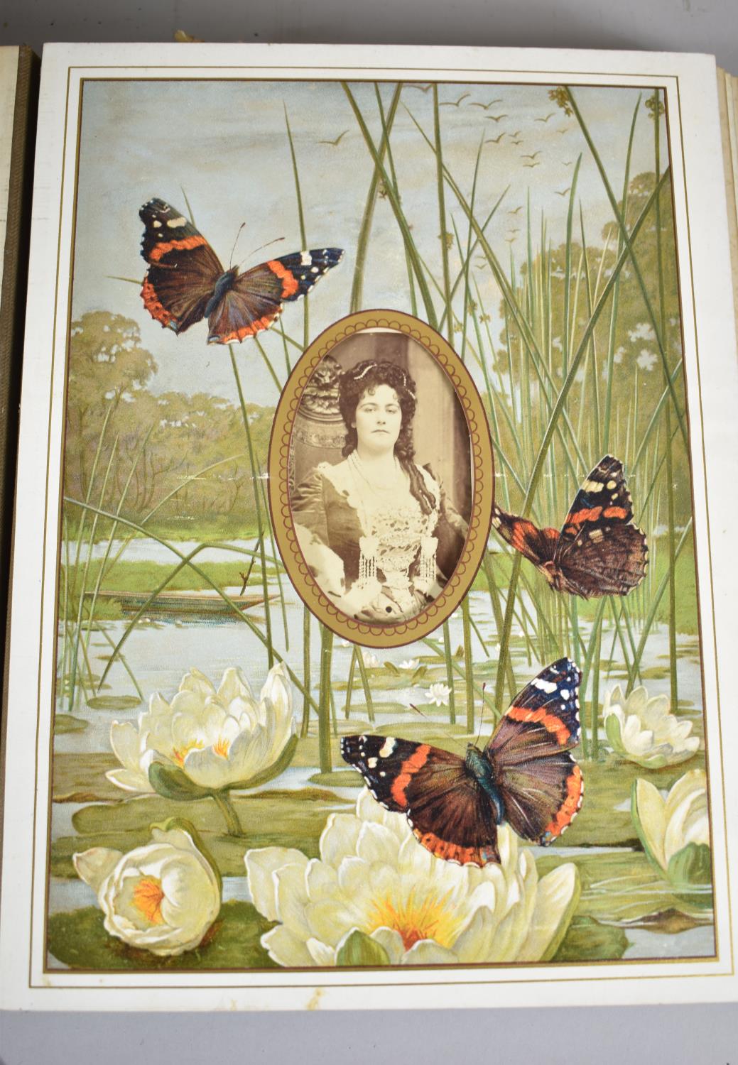 Two Victorian Photograph Albums and Contents, "The Butterfly Album" with Coloured Plates and a - Image 3 of 6