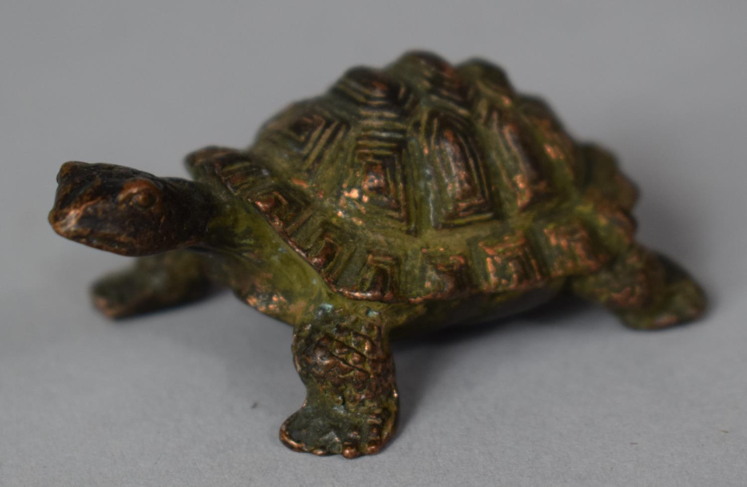 A Small Bronze Study of a Tortoise, 6cm wide