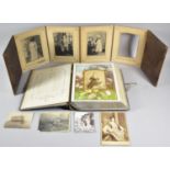 Two Victorian Photograph Albums and Contents, "The Butterfly Album" with Coloured Plates and a