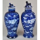 A Pair of Late 19th Century Chinese Blue and White Prunus Pattern Lidded Baluster Vases with Foo Dog