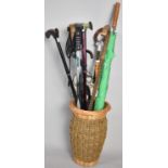 A Wicker Stick Stand Containing Walking Sticks, Umbrellas, Shooting Sticks etc