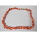 A Coral Necklace, 36.5cm Long