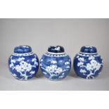 Three 20th Century Chinese Blue and White Prunus Pattern Lidded Ginger Jars, Bearing Double Circle