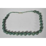 A String of Mongolian Turquoise Graduated Beads with Silver Clasp, 40cm long