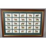 A Framed Set of Players Cigarette Cards, "Grand National Winners"