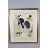 A Framed Nigel Hemming Sporting Dog Print, 40cm high