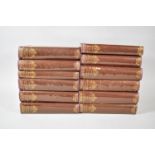 Twelve Volumes, The Fireside Dickens