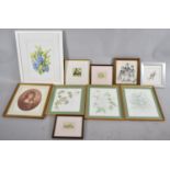 A Collection of Ten Botanic and Other Prints