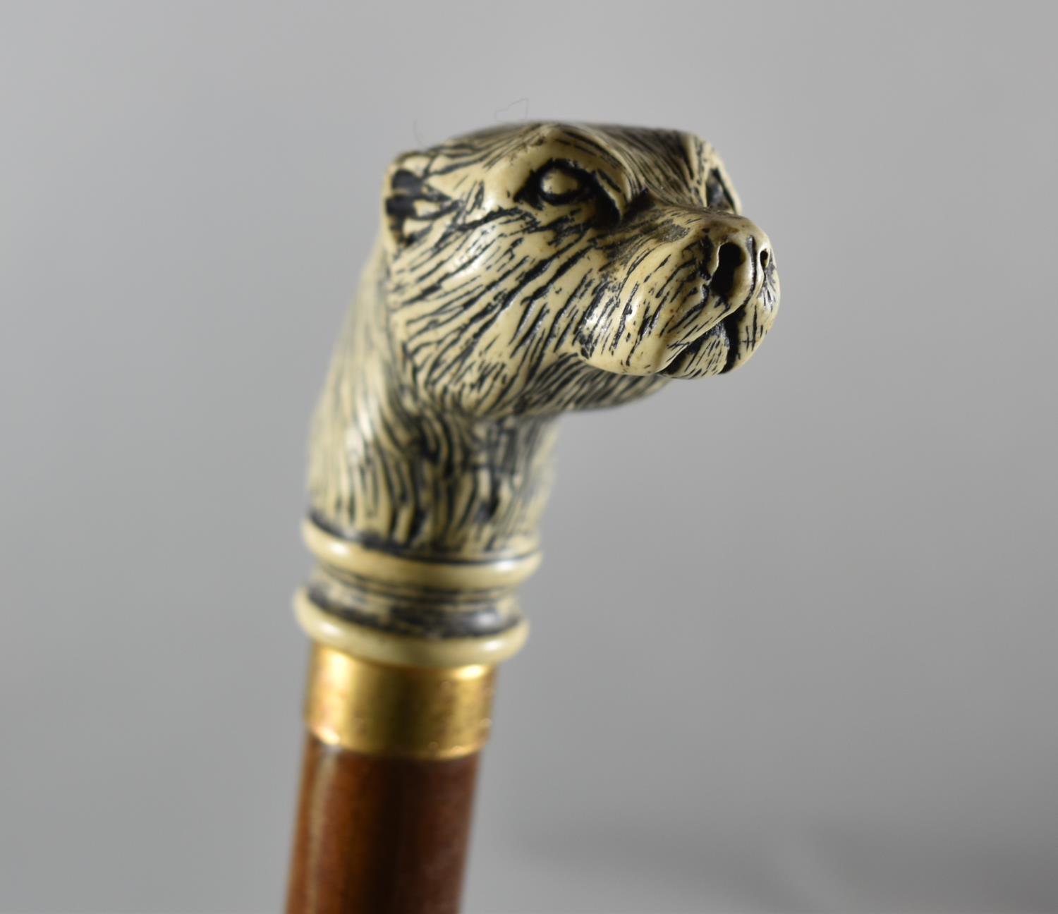 A Modern Walking Cane with Resin Otter's Head Handle, 91cm Long - Image 2 of 2