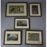 A Collection of Five 19th Century Coloured Engravings, Various Subjects, Mostly 16cm