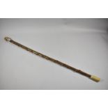 A Thorn Wood Walking Stick with Carved Horn Handle and Circular Silver Banding, Hallmarked for