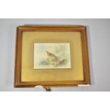 A Gilt Framed Watercolour of a Partridge, 13.5cm Wide