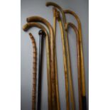 A Collection of Nine Various Canes and Walking Sticks