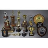 A Collection of Various Sporting Trophies