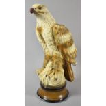 A Plaster Study of an Eagle on Rock, Some Chips and Nicks, 37cm high