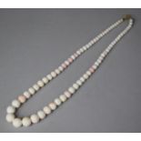 An Edwardian Angel Skin String of Graduated Coral Beads