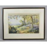 A Framed Collin Vokas Print, Bluebell Wood, 55cm wide