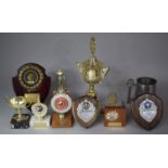 A Collection of Various Sporting Trophies