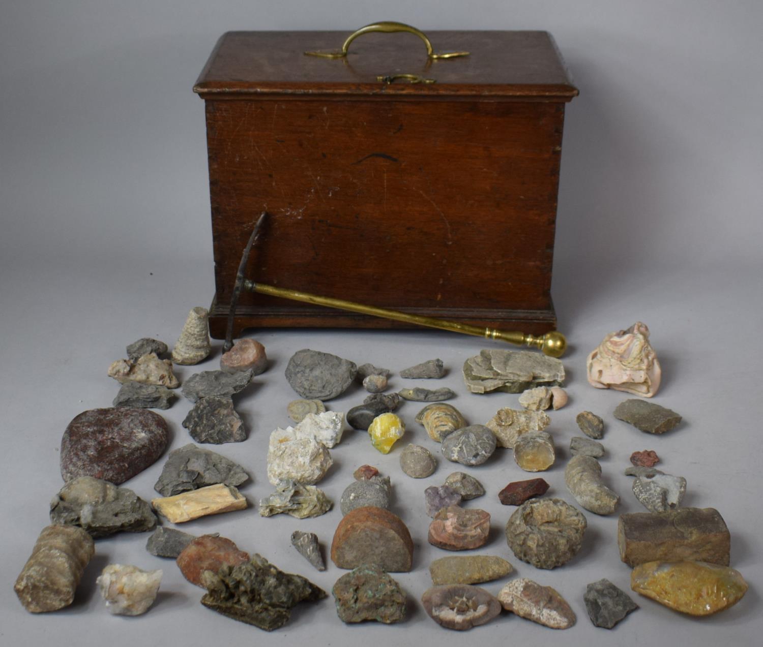 A 19th Century Oak Box with Hinged Lid and Brass Carrying Handle Containing Large Quantity of