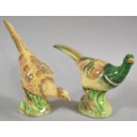 A Novelty Ceramic Cruet in the Form of Hen and Cock Pheasants, 20cm Long