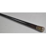 A Silver Topped Walking Cane of Tapering Form, London Hallmark, 90cm Long