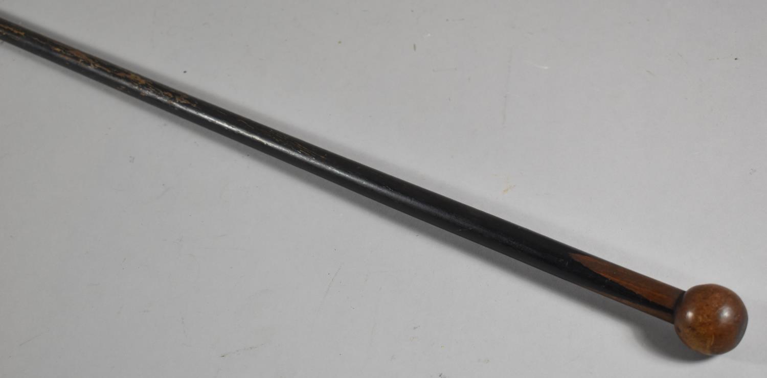 An Ebonised Tapering Walking Cane with Globular Handle, 90cm Long