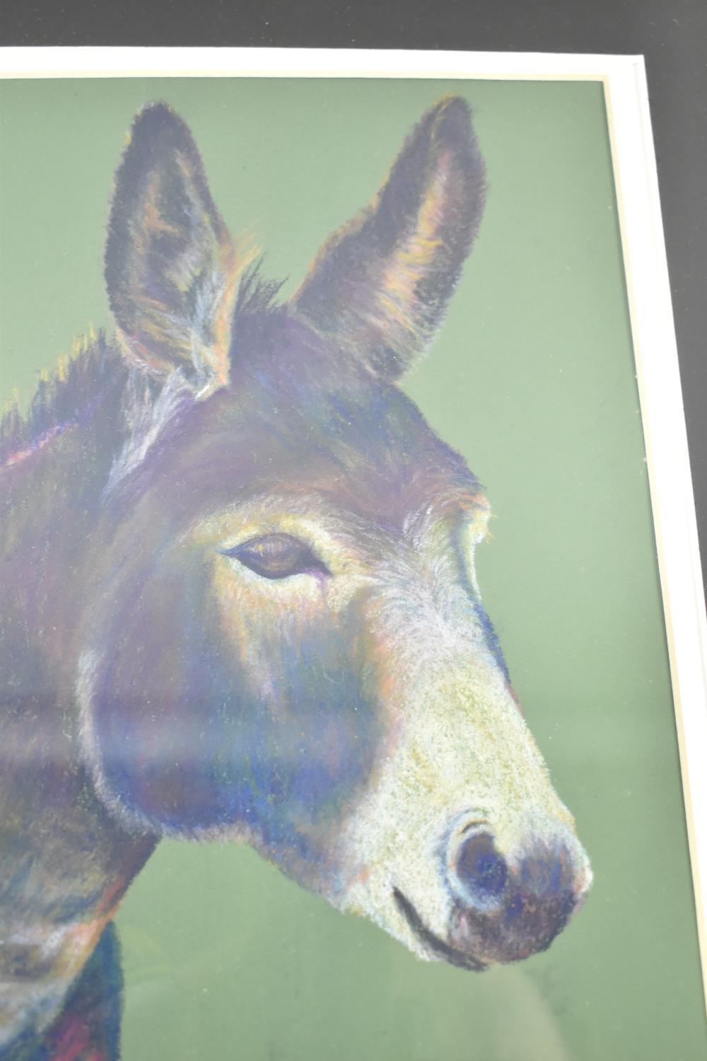 A Framed Pastel by Christine Stainer, "Psychedelic Donkey", 28cm high - Image 2 of 4