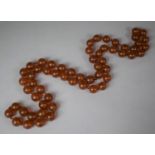 A String of 59 Baltic Amber Beads, 144g and 124cm long
