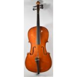 A Cased Stentor Student II Cello