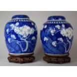A Good Pair of Large Chinese Prunus Pattern Ginger Jars with Covers on Pierced Wooden Stands, Four