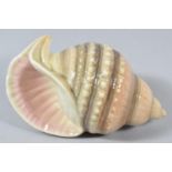A Goebel Wall Pocket in the Form of a Conch Shell, 14cm Long