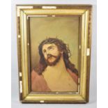 A Framed Oil on Card, Jesus with Crown of Thorns, 45cm, high
