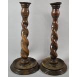 A Pair of Edwardian Oak Barley Twist Candlesticks on Circular Bases, 32cm high