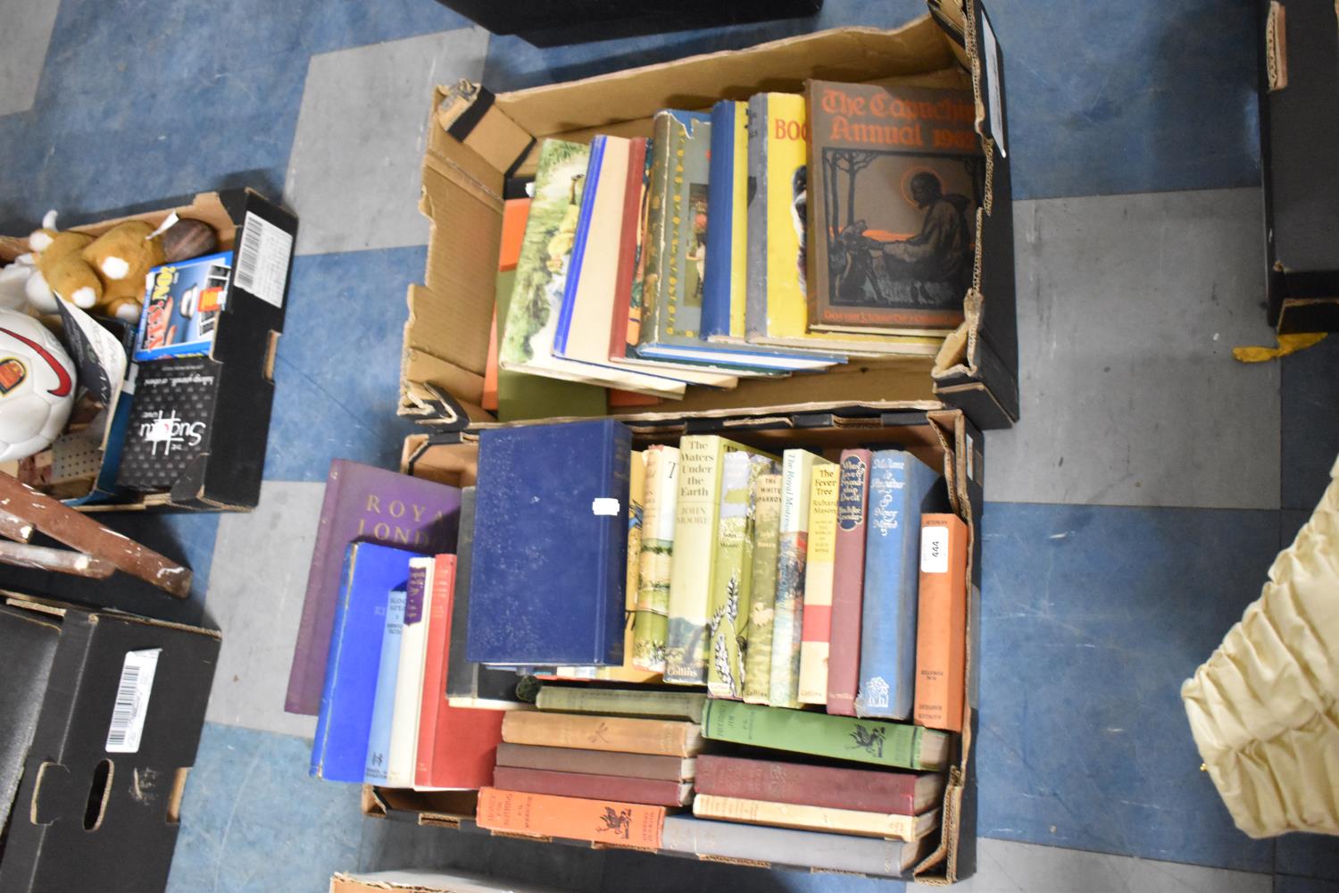 Two Boxes of Various Books