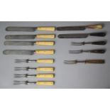 A Collection of Various 18th/19th Century Bone and Horn Handled Cutlery