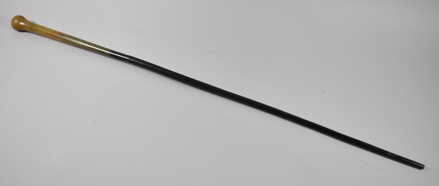 A Late 19th Century Sectional Horn Walking Cane, 85cm Long