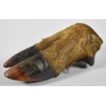 A Deer's Foot Hunting Trophy, 16cm high