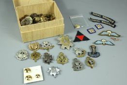 Miscellaneous Military Cap Badges and Cloth Badges