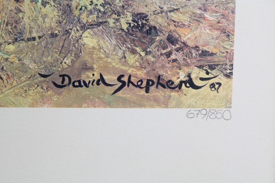 David Shepherd Wildlife Artist CBE, OBE, FGRA, FRSA Limited Edition Print - Image 7 of 7