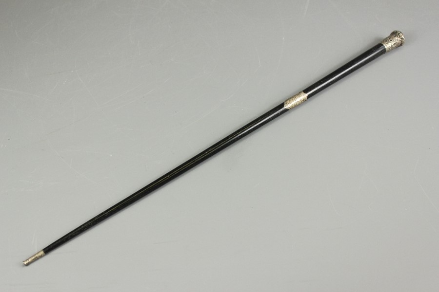 A Conductor's Baton