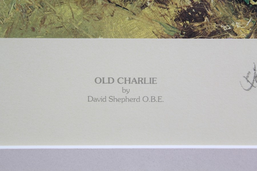 David Shepherd Wildlife Artist CBE, OBE, FGRA, FRSA Limited Edition Print - Image 5 of 7