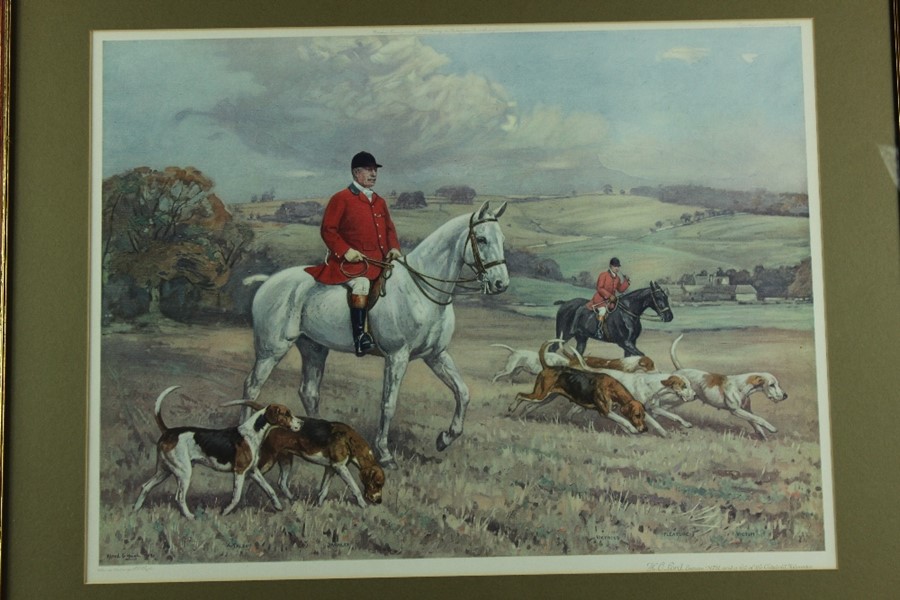 Miscellaneous Equine and Hunting Prints - Image 15 of 24