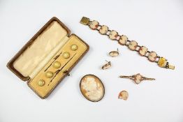 Shell Cameo Jewellery