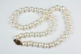 A String of Cultured Pearls