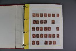 A Ring-Binder Containing Scores of Plated 1d Reds and 1/2d Reds