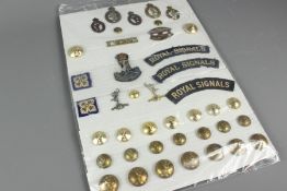 Collection of Military Insignia