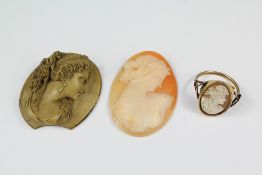 Two Shell Cameo